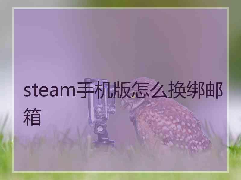 steam手机版怎么换绑邮箱