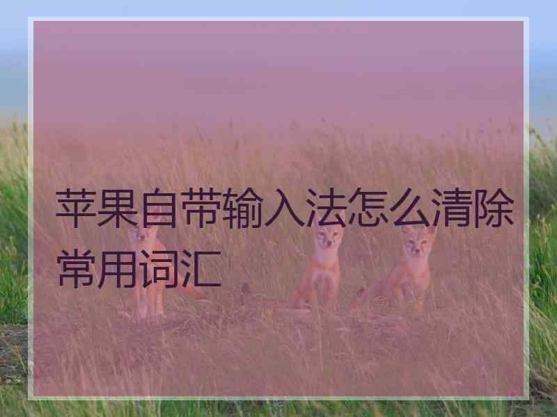 苹果自带输入法怎么清除常用词汇