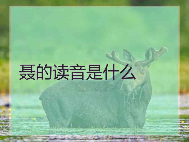 聂的读音是什么