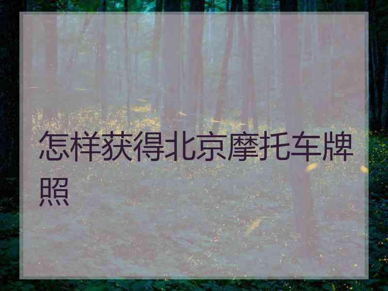 怎样获得北京摩托车牌照