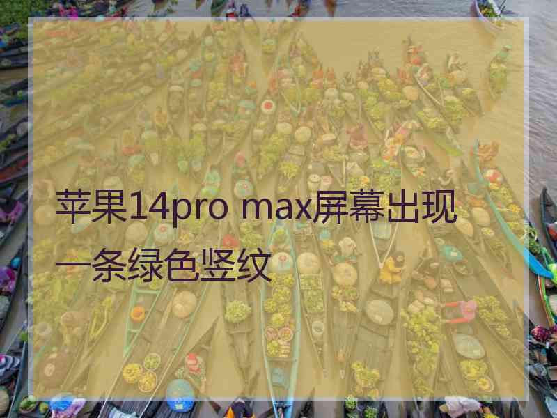 苹果14pro max屏幕出现一条绿色竖纹