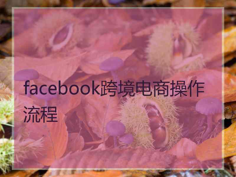 facebook跨境电商操作流程