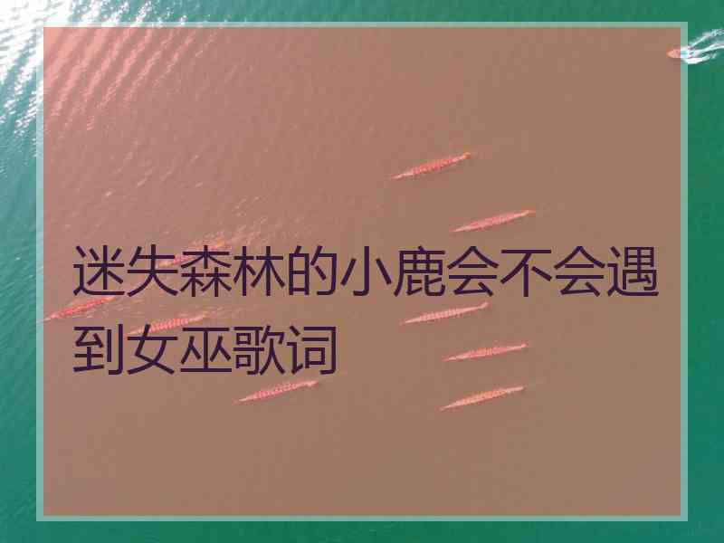 迷失森林的小鹿会不会遇到女巫歌词