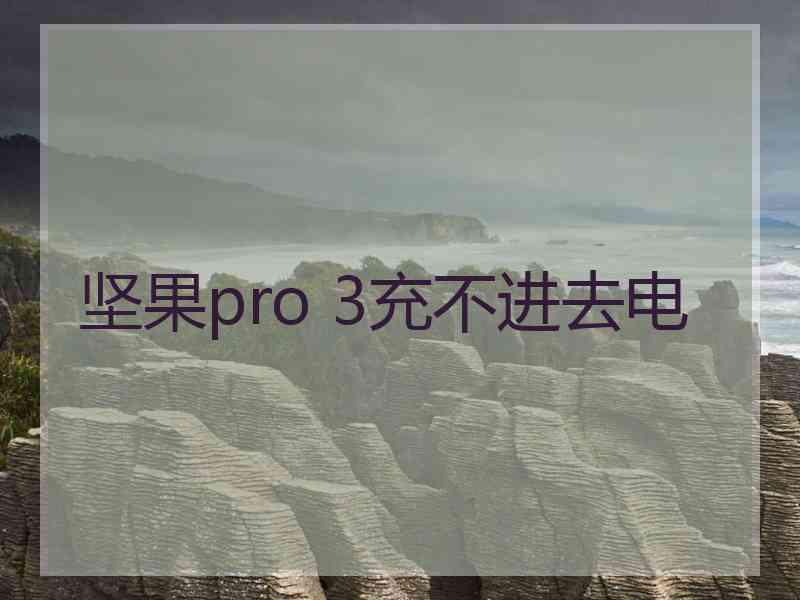 坚果pro 3充不进去电