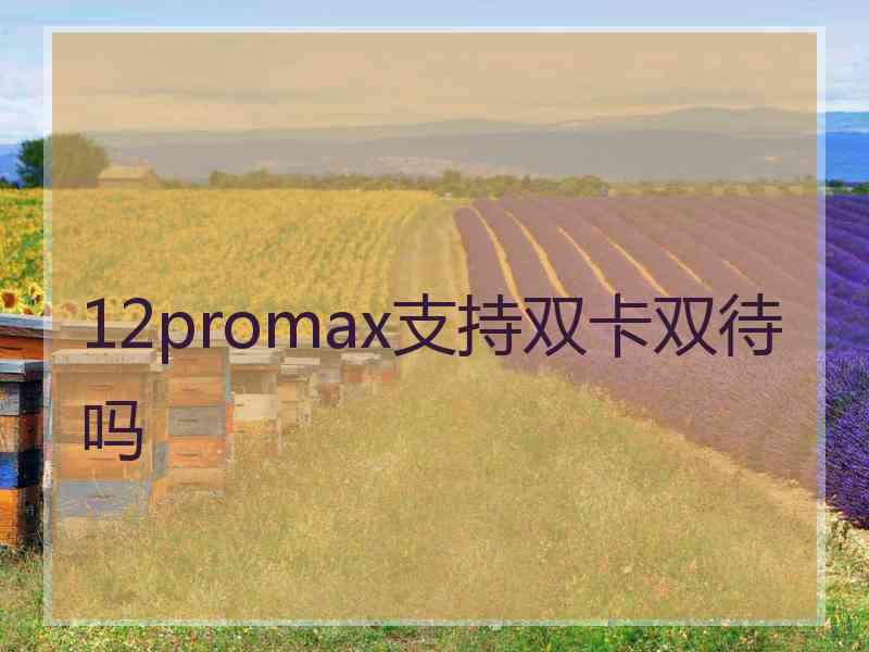 12promax支持双卡双待吗