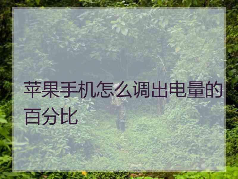 苹果手机怎么调出电量的百分比