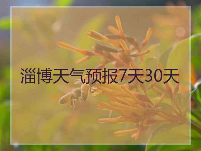 淄博天气预报7天30天