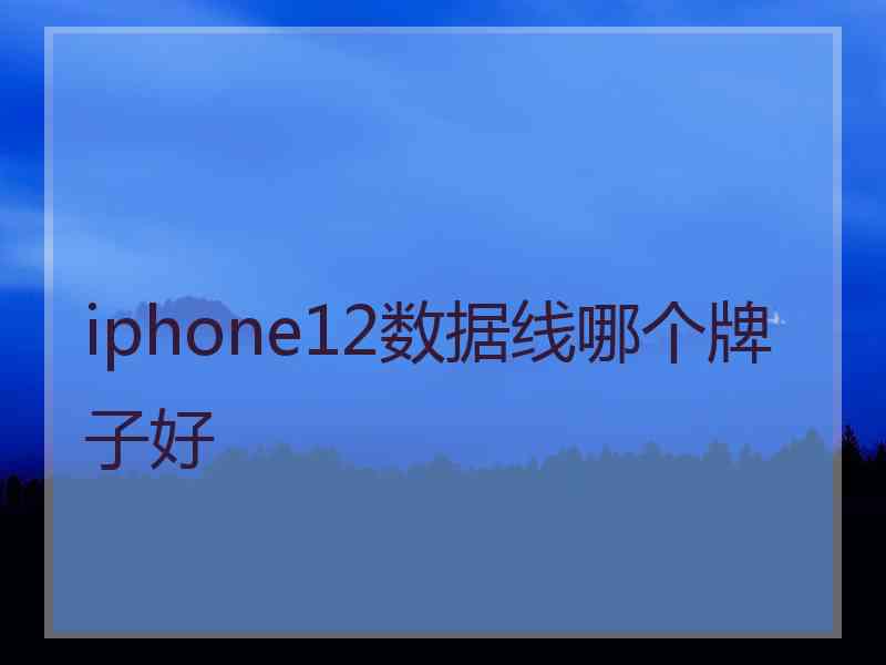 iphone12数据线哪个牌子好