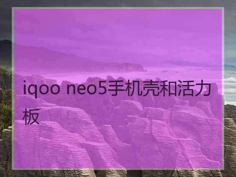 iqoo neo5手机壳和活力板