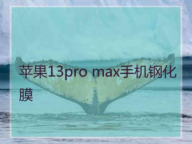 苹果13pro max手机钢化膜