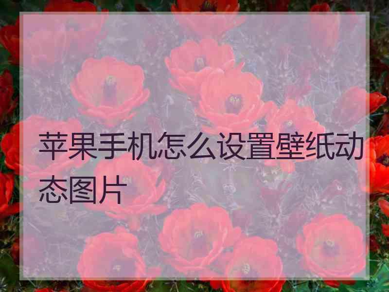 苹果手机怎么设置壁纸动态图片