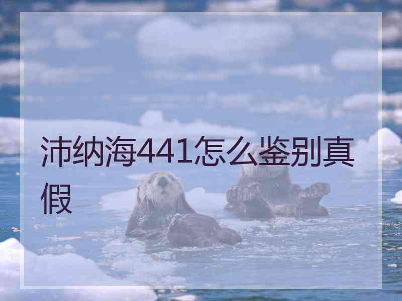 沛纳海441怎么鉴别真假