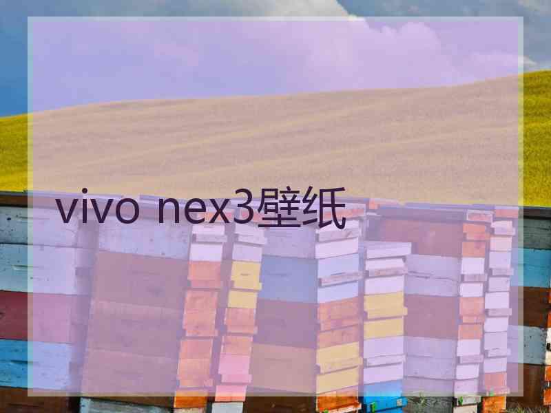 vivo nex3壁纸