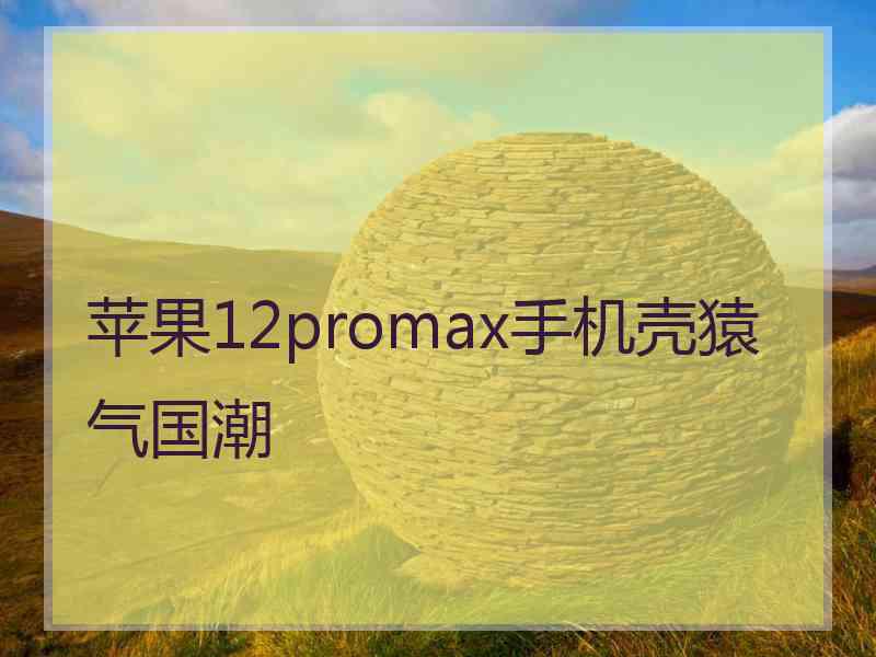 苹果12promax手机壳猿气国潮