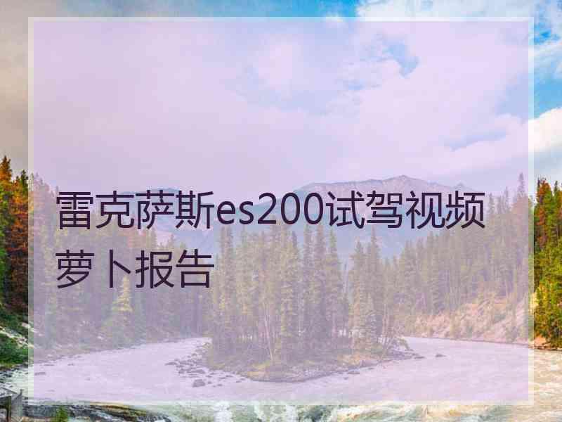 雷克萨斯es200试驾视频萝卜报告