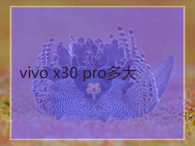 vivo x30 pro多大