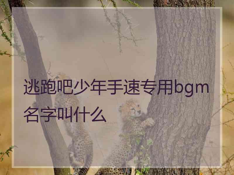 逃跑吧少年手速专用bgm名字叫什么