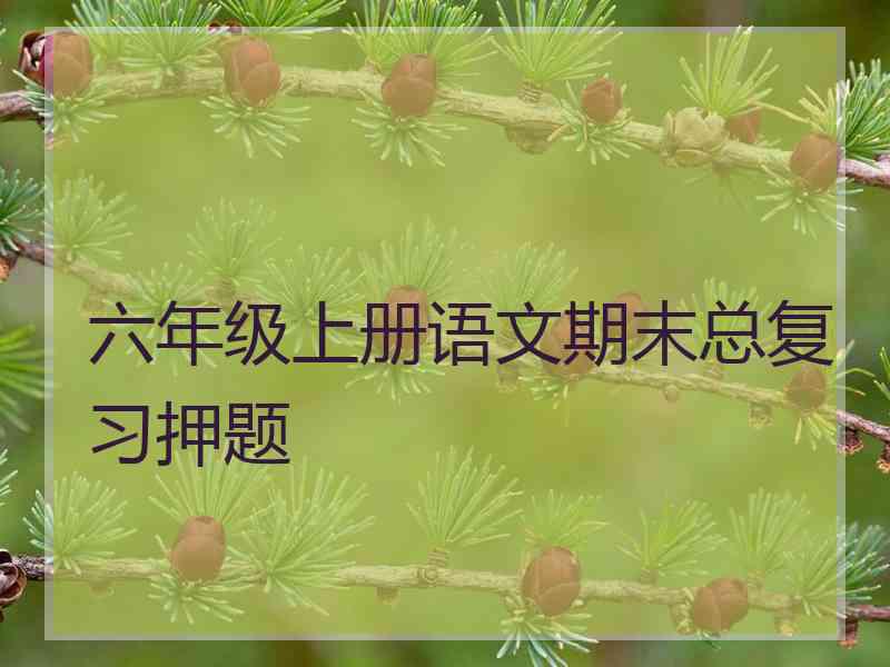 六年级上册语文期末总复习押题