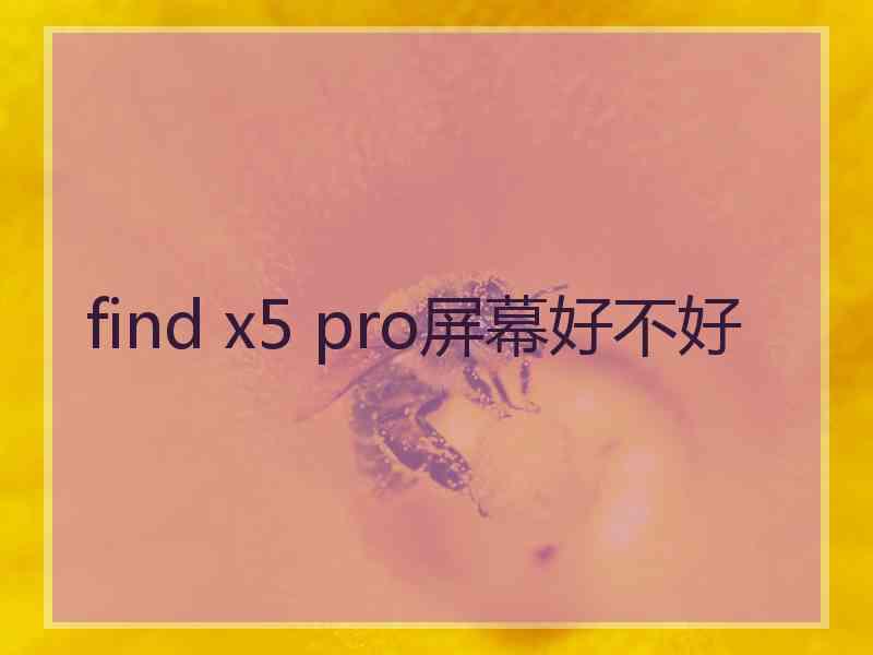 find x5 pro屏幕好不好