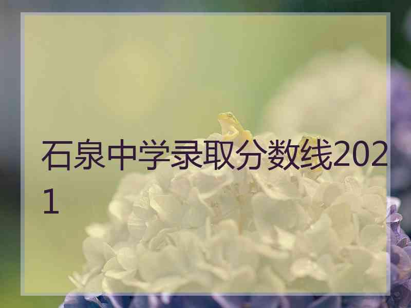 石泉中学录取分数线2021