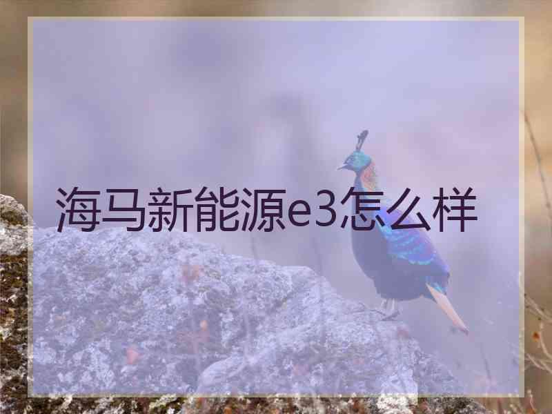 海马新能源e3怎么样