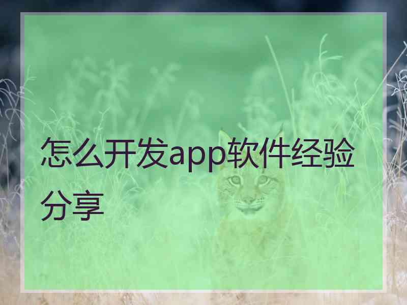 怎么开发app软件经验分享