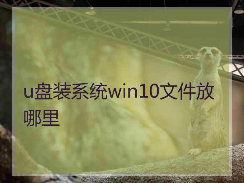 u盘装系统win10文件放哪里