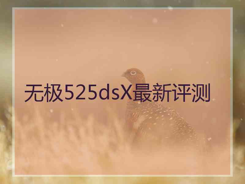 无极525dsX最新评测