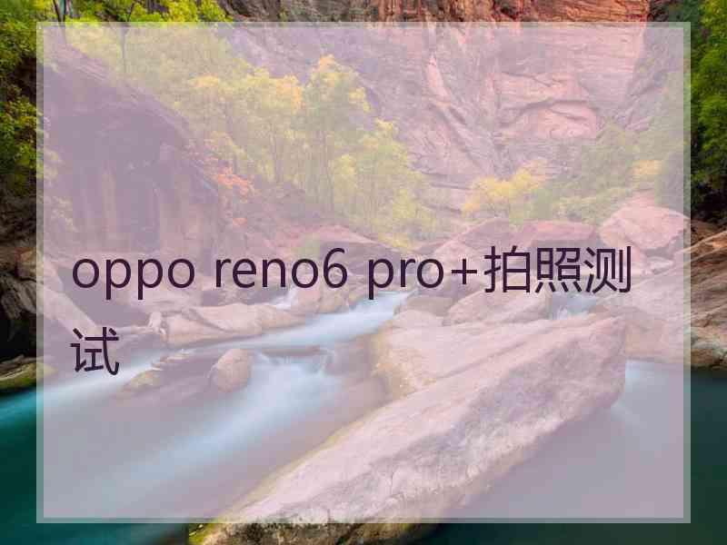 oppo reno6 pro+拍照测试