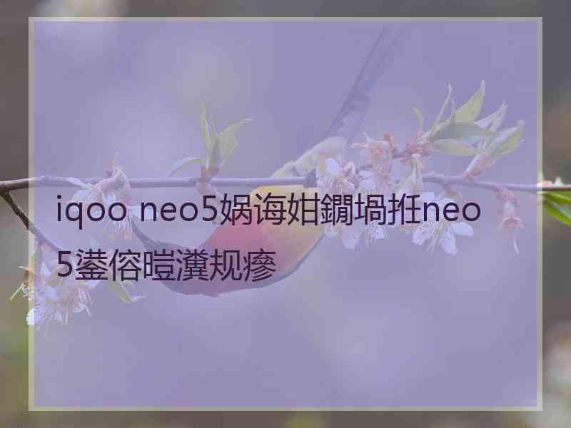 iqoo neo5娲诲姏鐗堝拰neo5鍙傛暟瀵规瘮