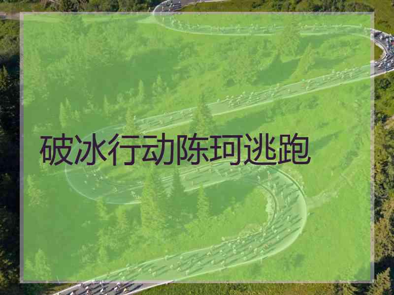 破冰行动陈珂逃跑