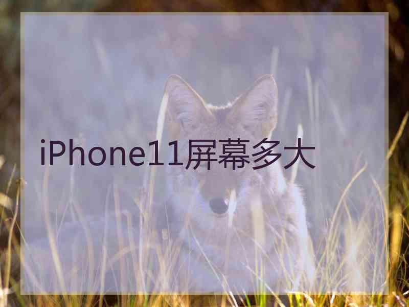 iPhone11屏幕多大