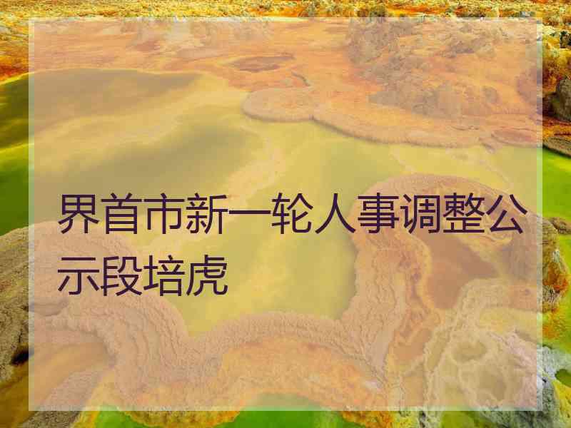 界首市新一轮人事调整公示段培虎