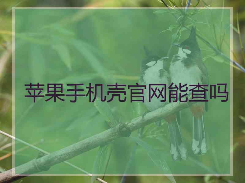 苹果手机壳官网能查吗