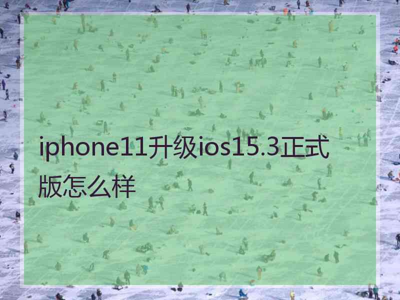 iphone11升级ios15.3正式版怎么样