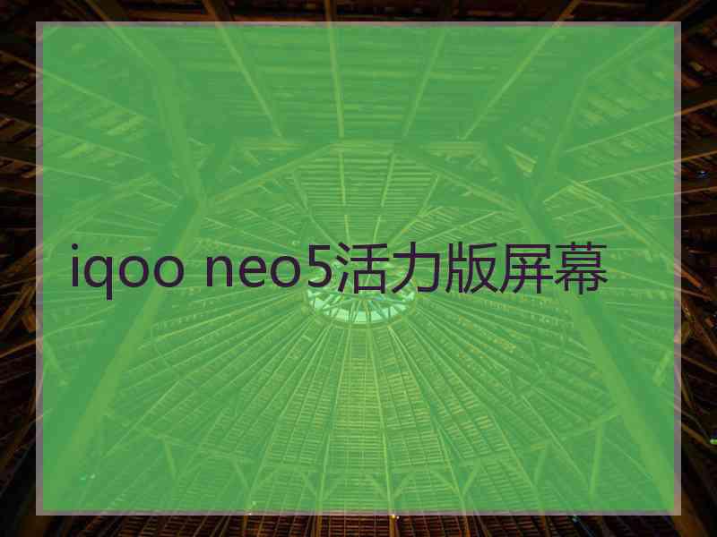 iqoo neo5活力版屏幕