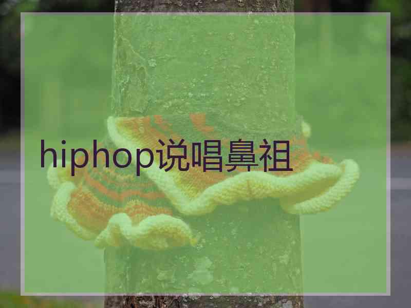 hiphop说唱鼻祖