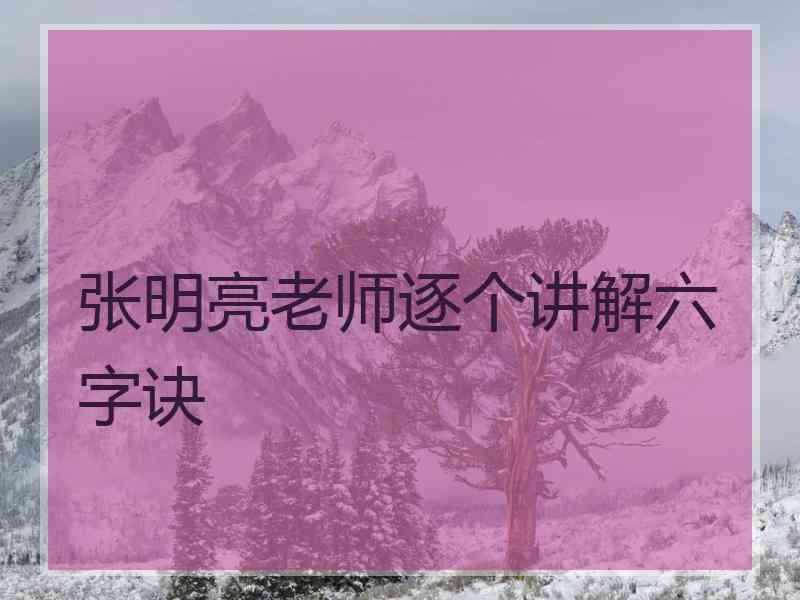 张明亮老师逐个讲解六字诀