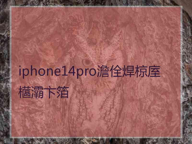 iphone14pro澹佺焊椋庢櫙灞卞箔