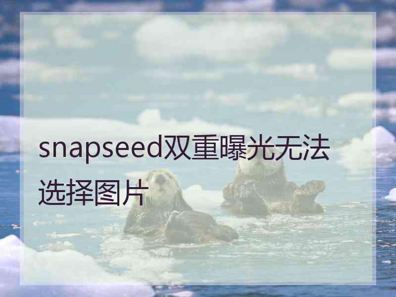 snapseed双重曝光无法选择图片