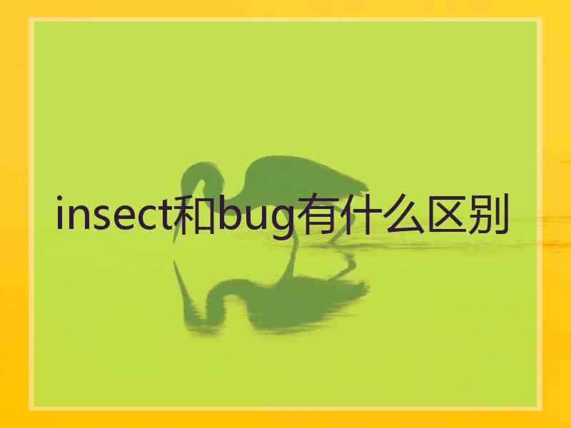 insect和bug有什么区别