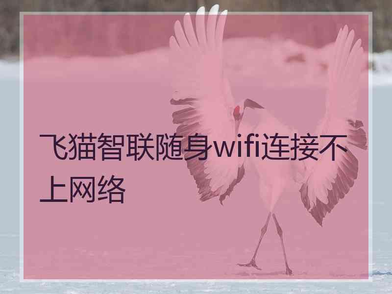 飞猫智联随身wifi连接不上网络