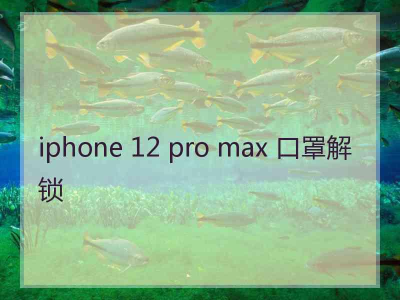 iphone 12 pro max 口罩解锁