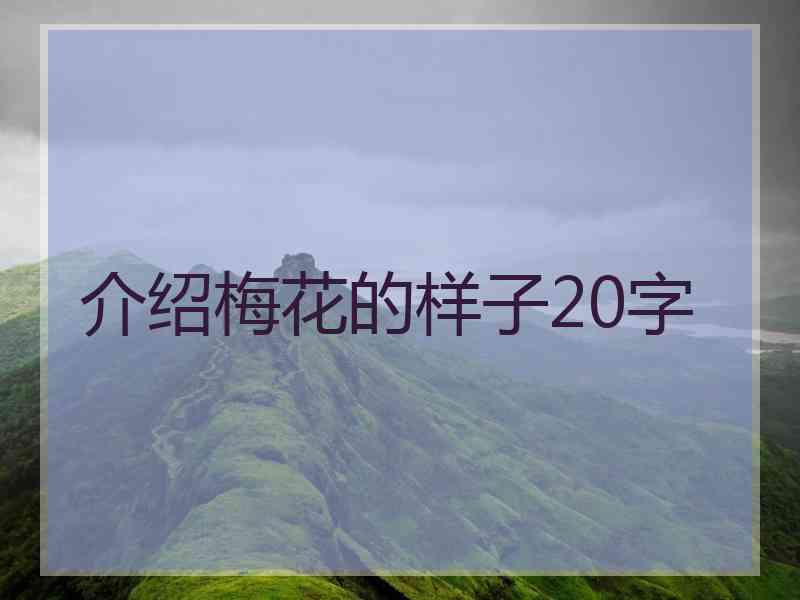 介绍梅花的样子20字