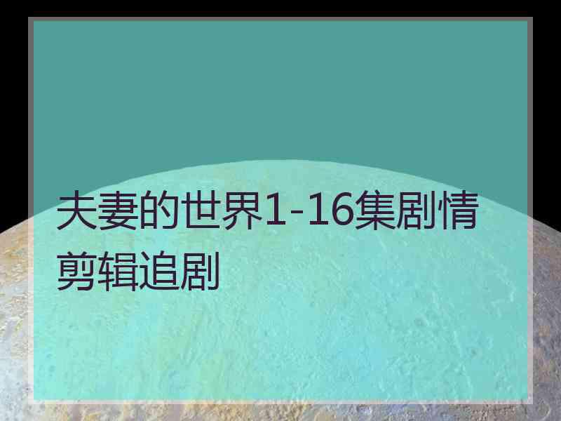 夫妻的世界1-16集剧情剪辑追剧