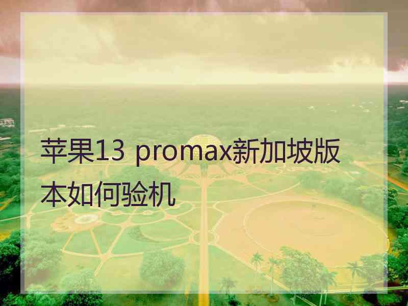 苹果13 promax新加坡版本如何验机