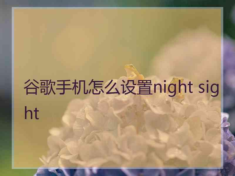 谷歌手机怎么设置night sight