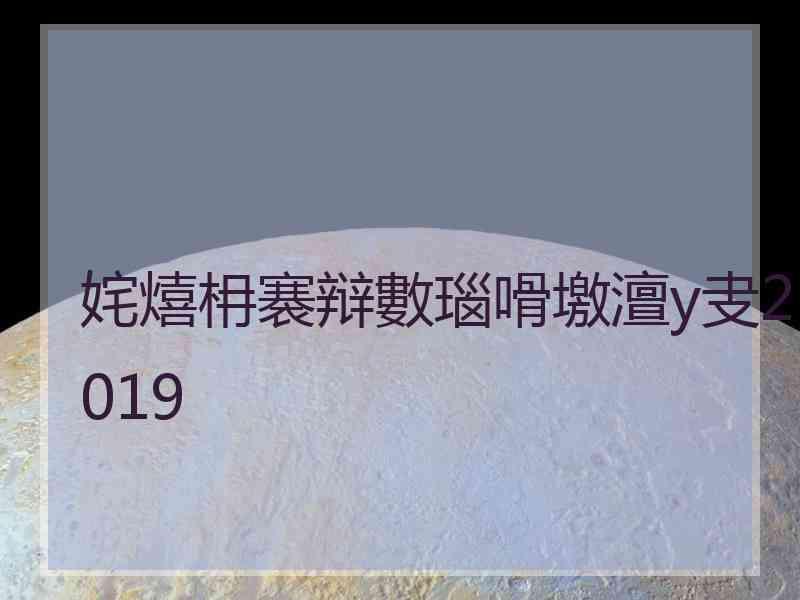 姹熺枏褰辩數瑙嗗墽澶у叏2019