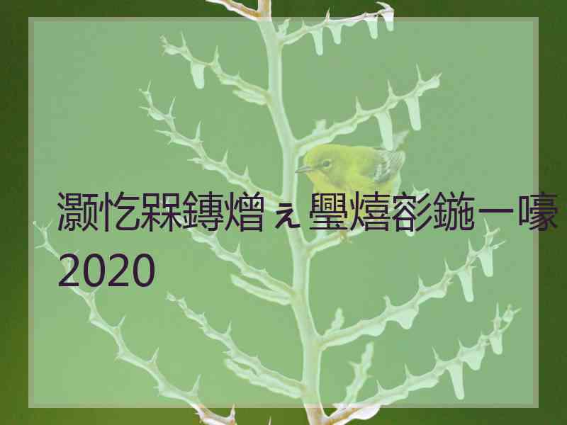 灏忔槑鏄熷ぇ璺熺彮鍦ㄧ嚎2020