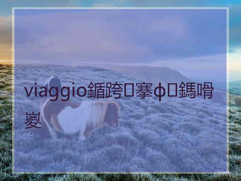 viaggio鍎跨搴ф鎷嗗嵏